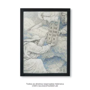 Home import placeholder for 5398